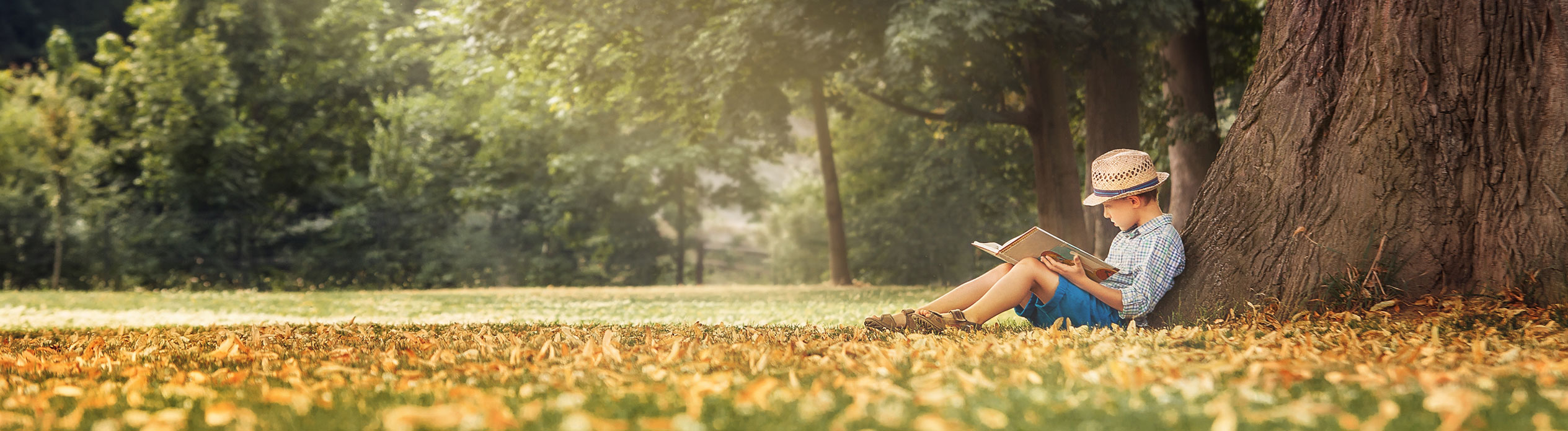 Boy under tree Reading and learning for Speech Bee Speech pathologist and speech therapist